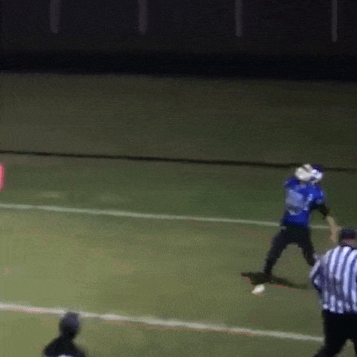 Film Review GIF